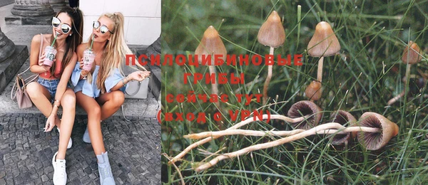 PSILOCYBIN Абаза