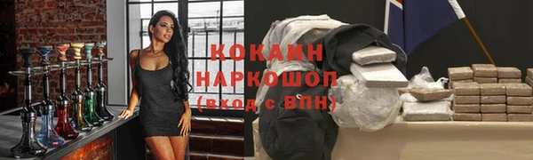 PSILOCYBIN Абаза