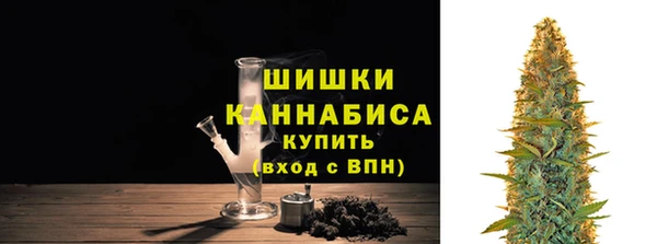 PSILOCYBIN Абаза