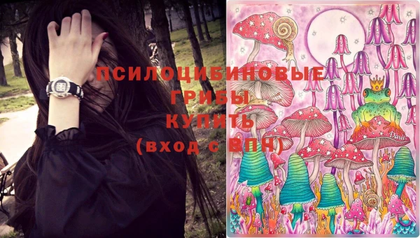 амф Абдулино