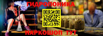 стаф Аргун