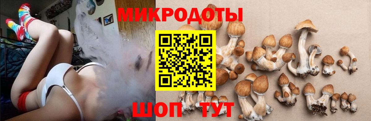 Галлюциногенные грибы прущие грибы Воронеж